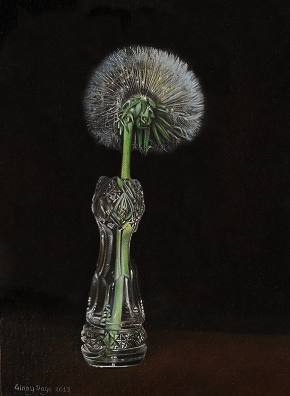 Dandelion Clock, 2013 – Still life oil painting on canvas, 22 x 16 cm – Ginny Page